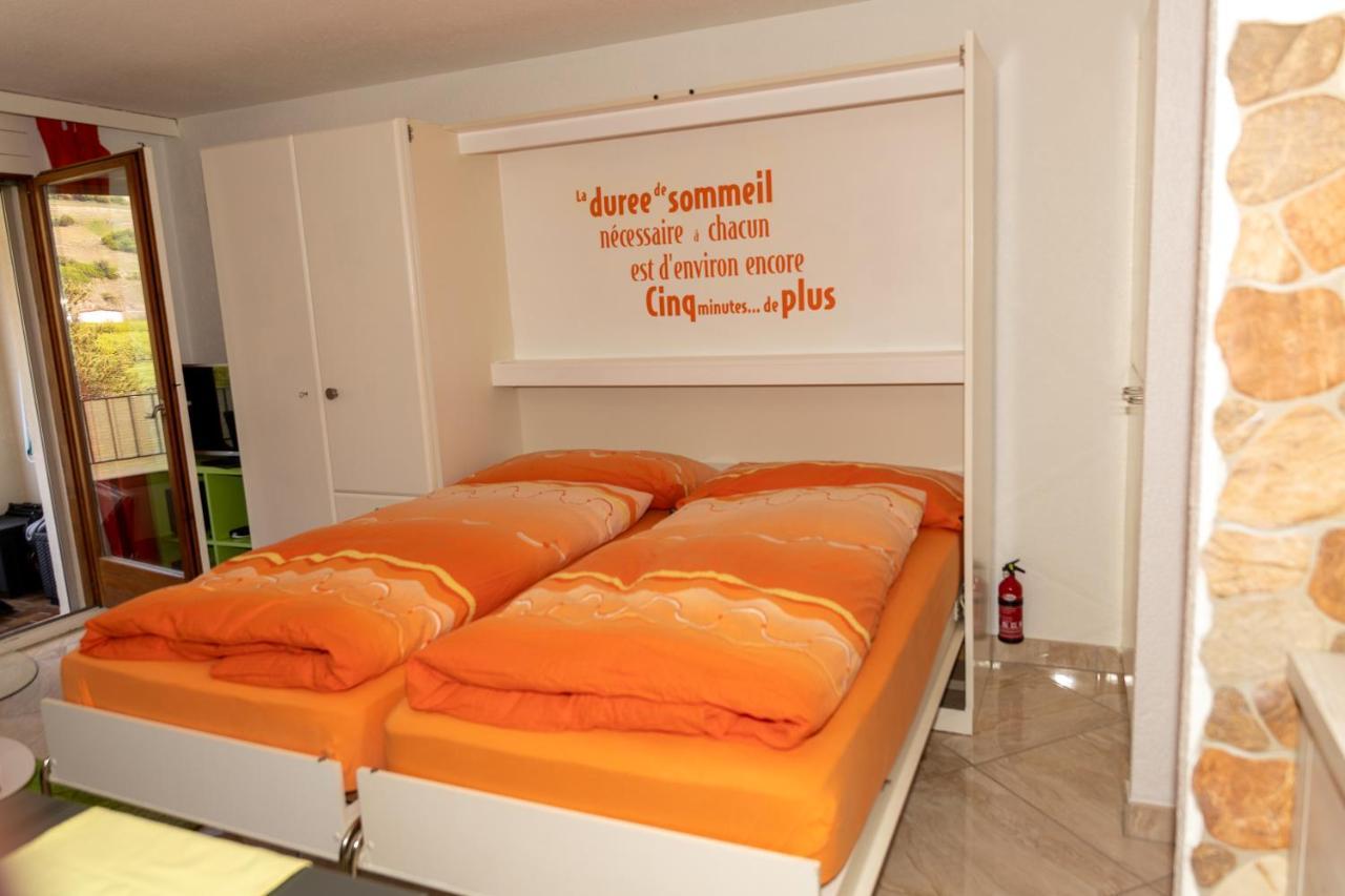 Un Moment De Detente Inoubliable Saillon-Les-Bain Exterior foto
